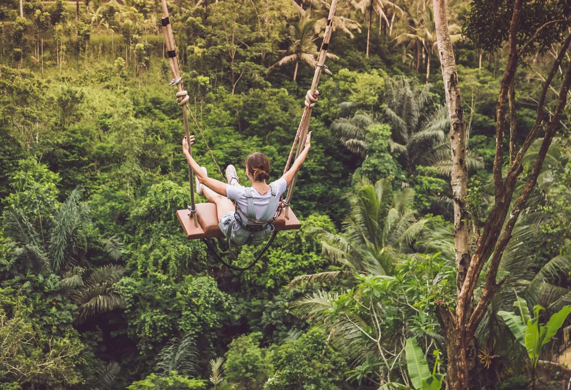Young tourist woman swinging on the cliff in the jungle rainforest of a tropical Bali island.; Shutterstock ID 763659397; SF SSA Case with Manager Approval: SF6759285; Job: ; Client/Licensee: ; Other: