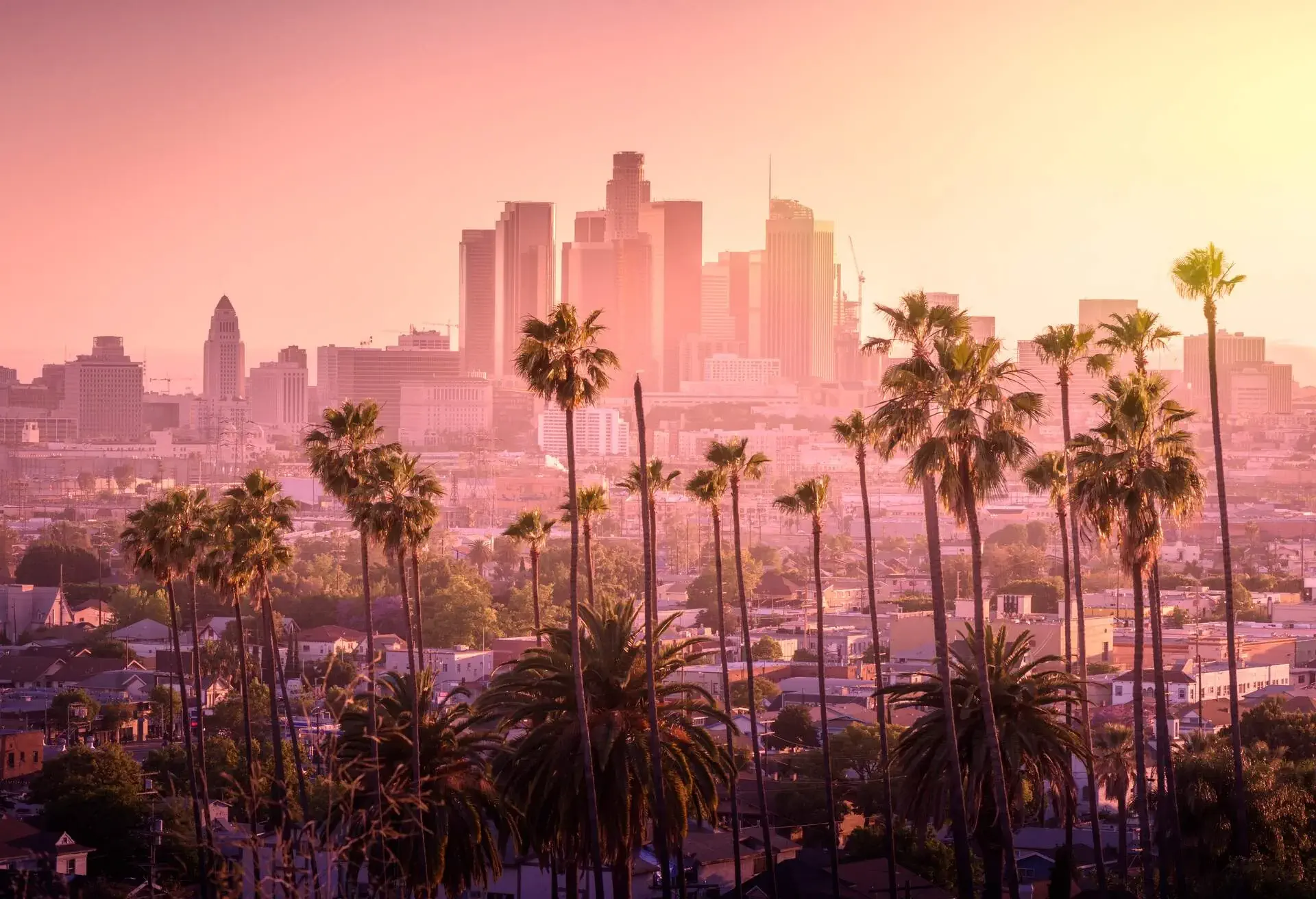 Beautiful sunset of Los Angeles downtown skyline and palm trees in foreground