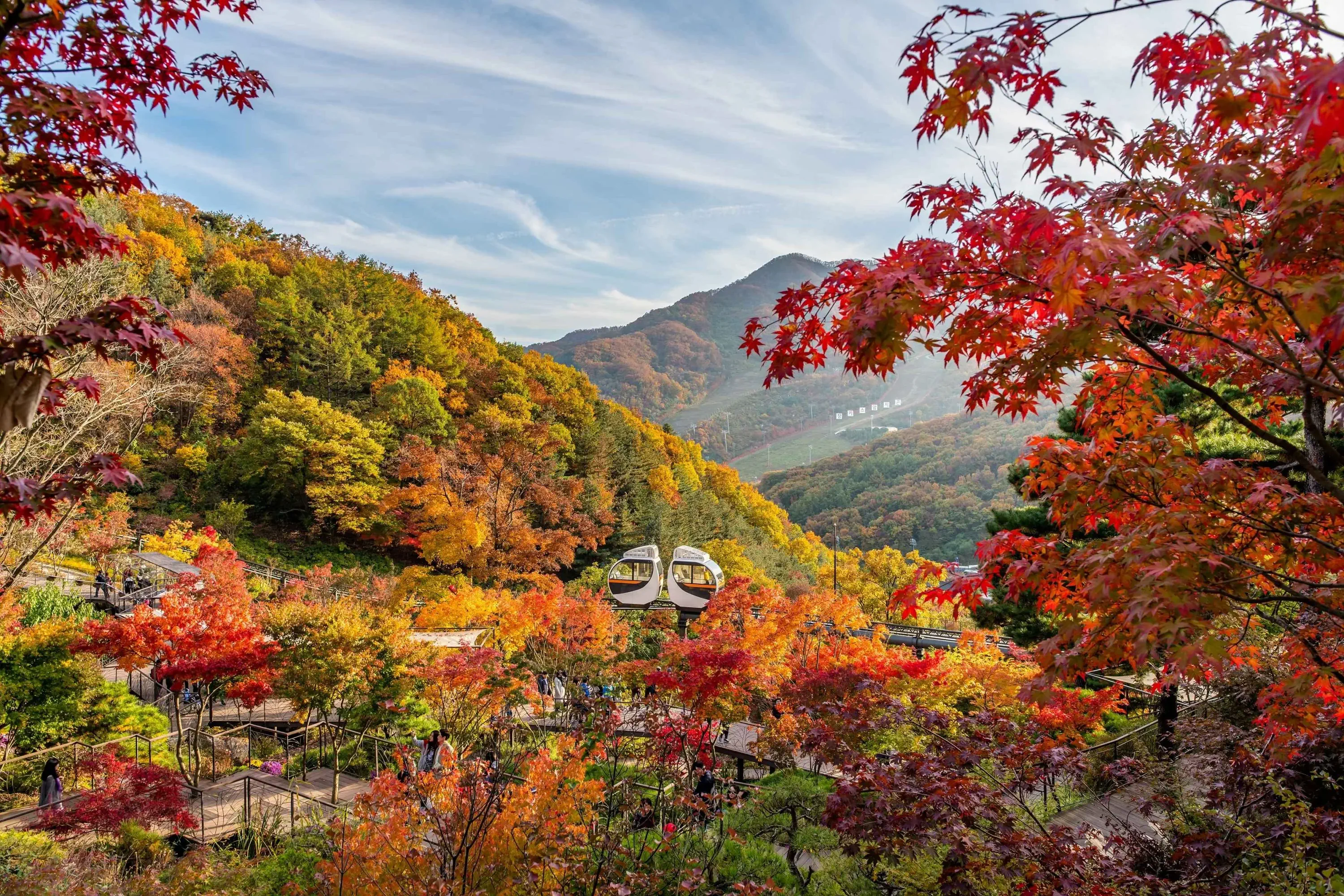 hwadam-botanic-garden