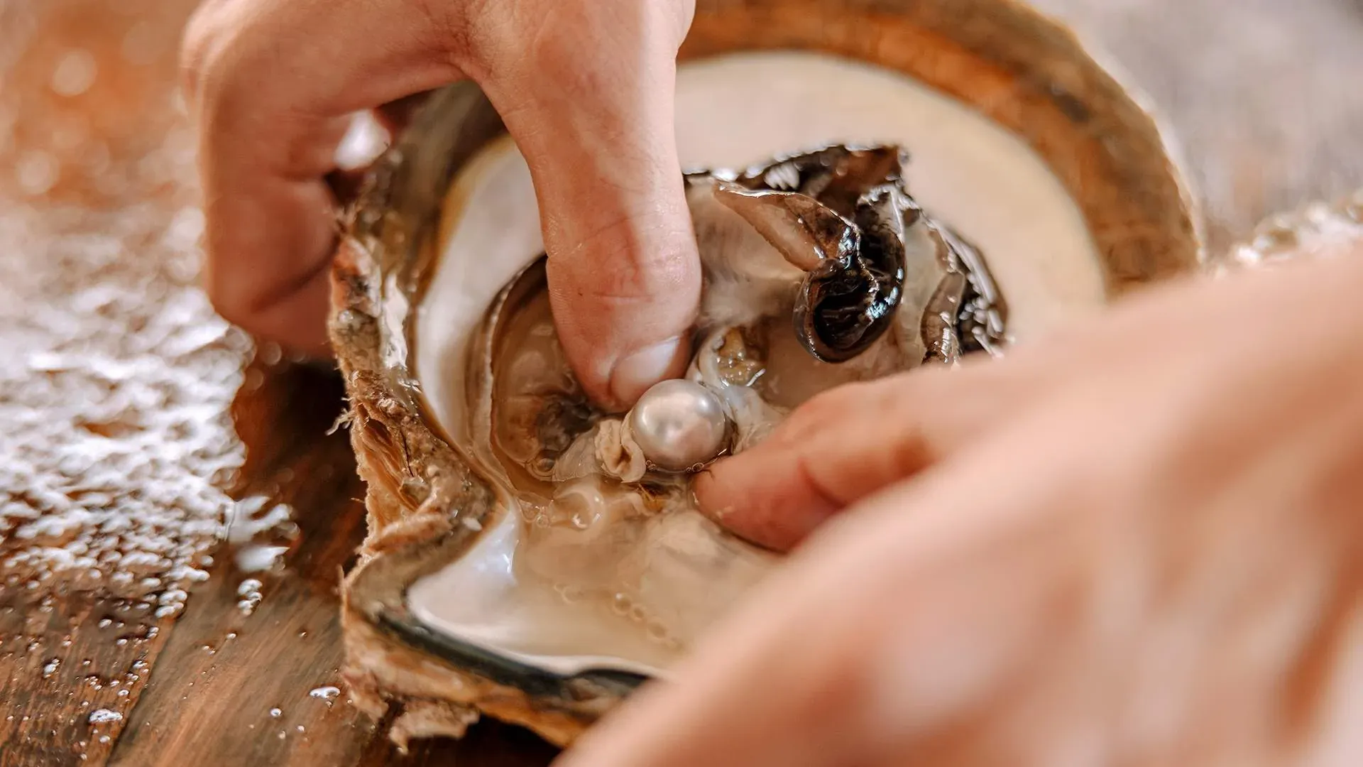 Cygnet Bay Pearl Farm