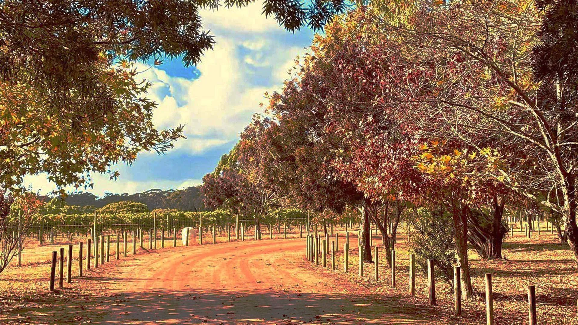 Mr Barval Fine Wines