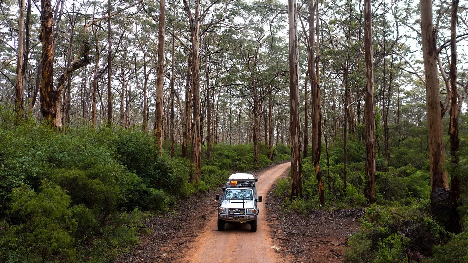 Boranup Forest Caves Road