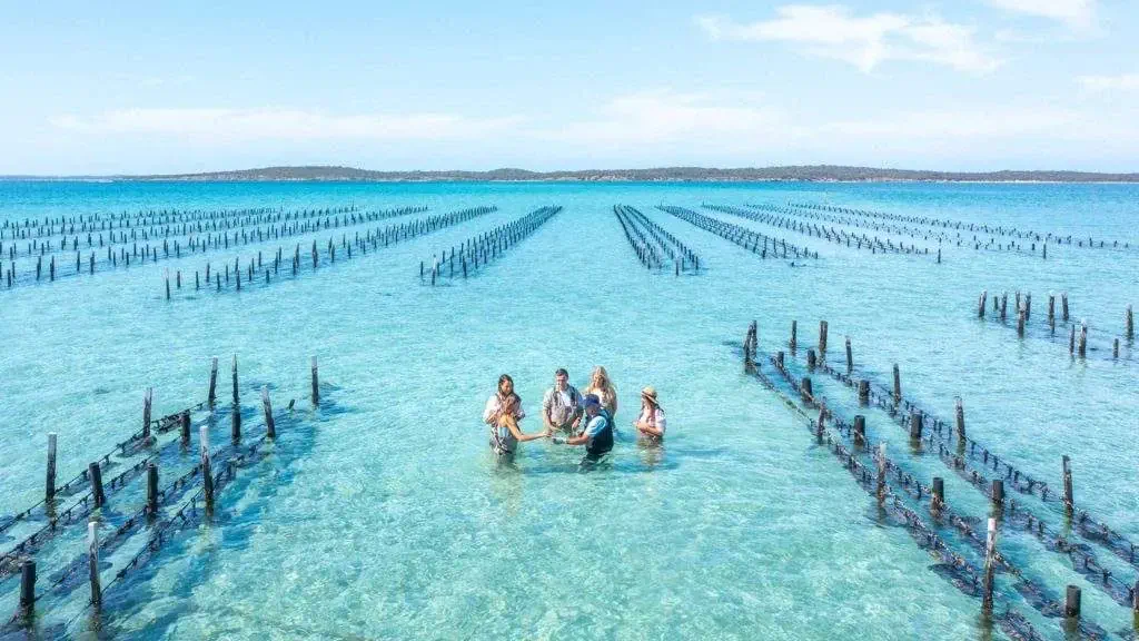 seafood-frontier-01-1024x576