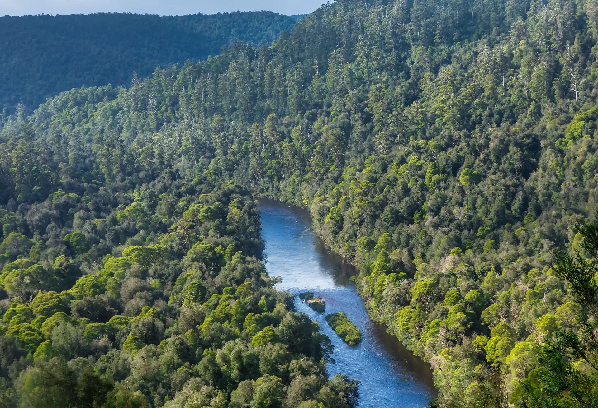 ww-tarkine-1