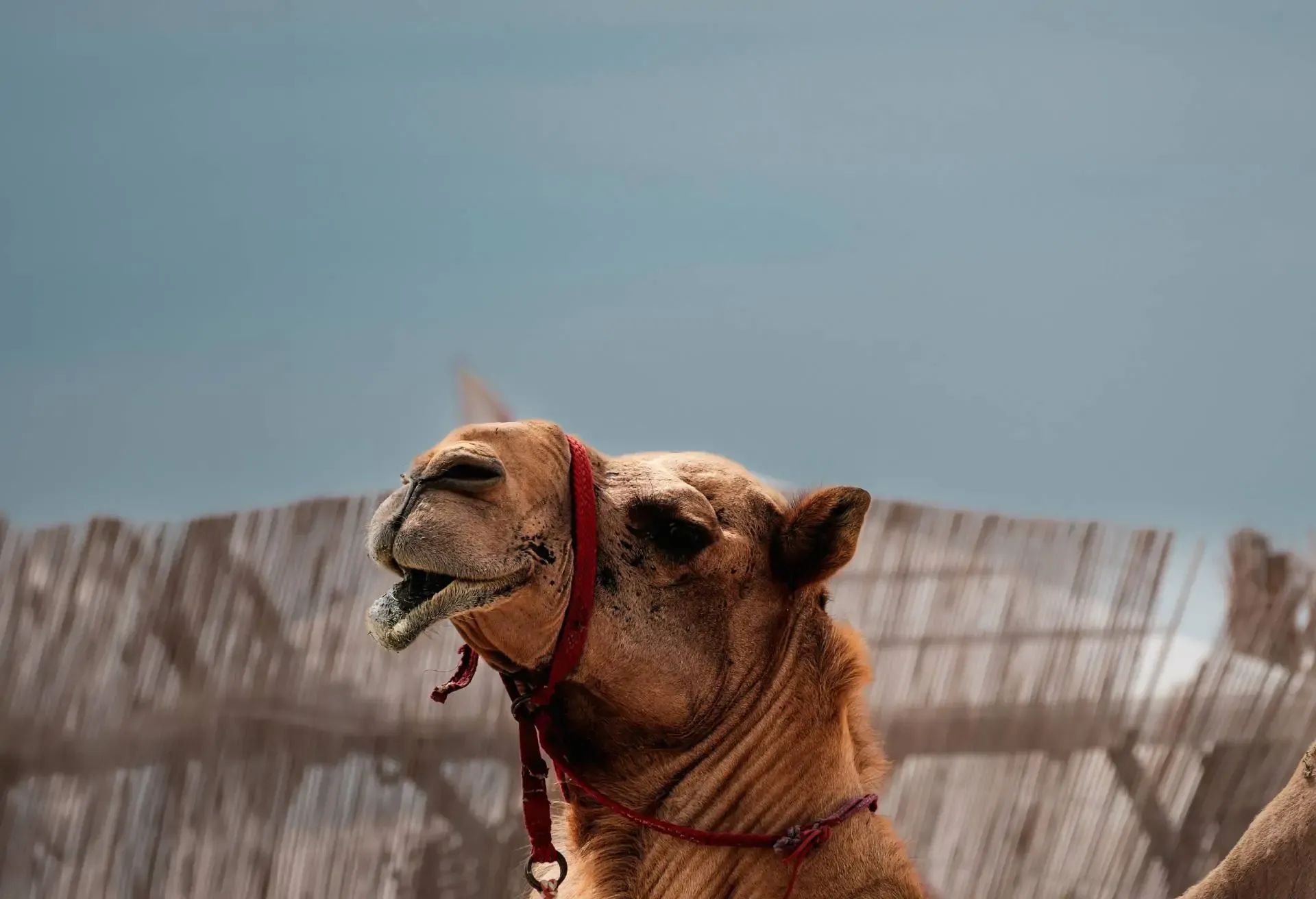 lp_desertcard3_1920x1312_dubai