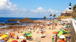 Salvador car hire