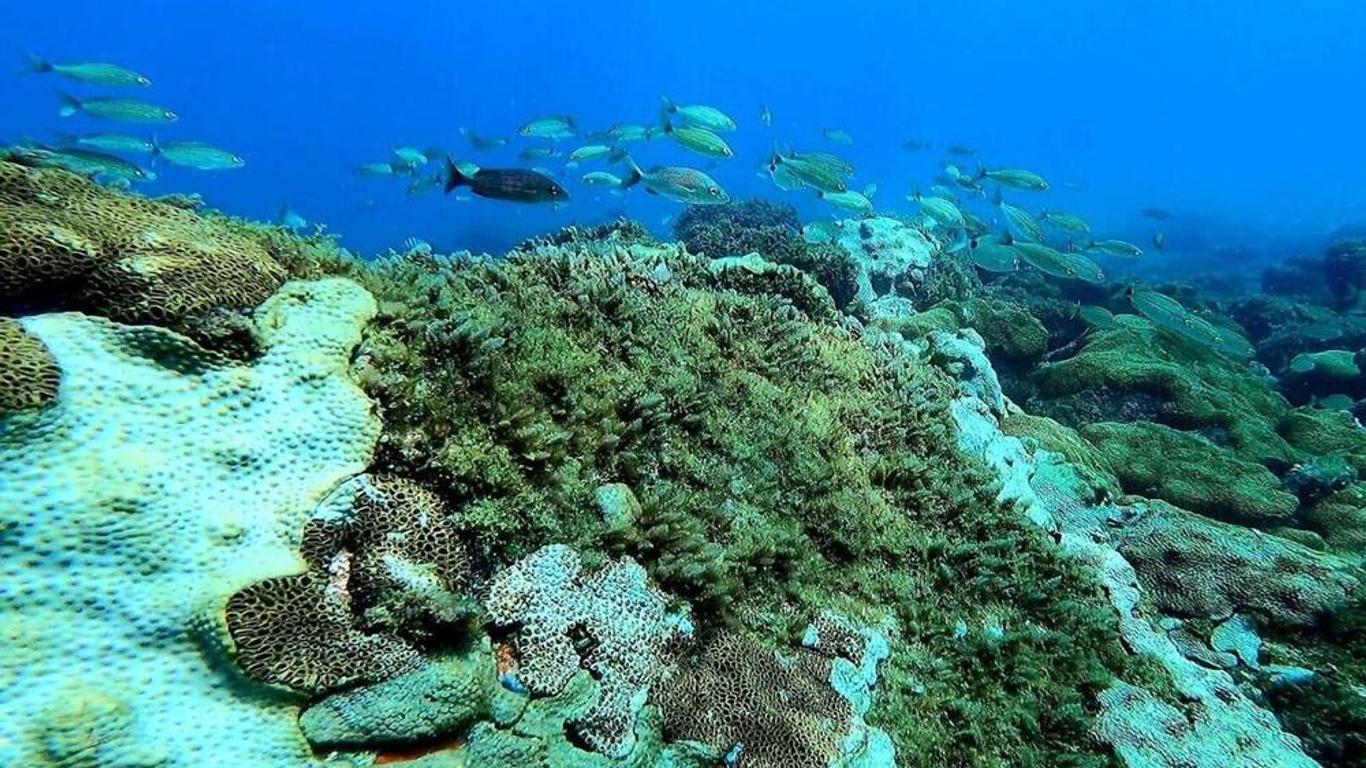 Pousada Aquamaster Dive Center