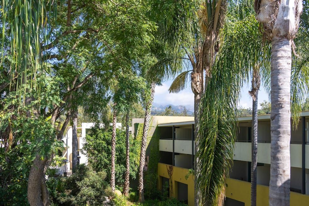 Outdoor view