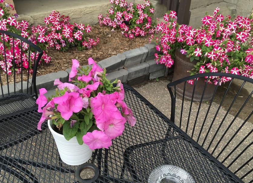 Patio Photo