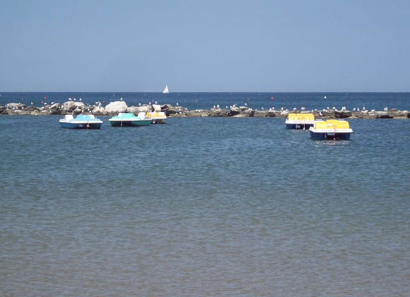 Other Photo