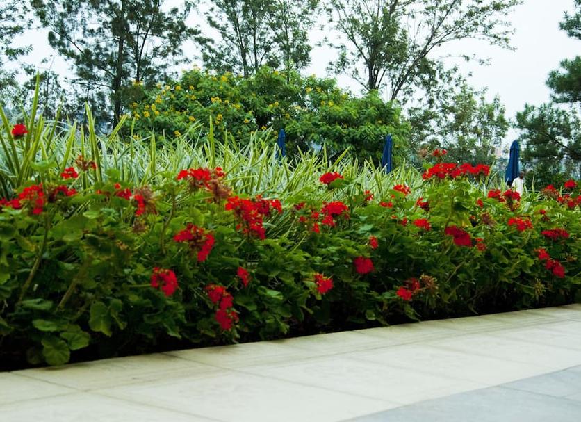 Outdoor view Photo