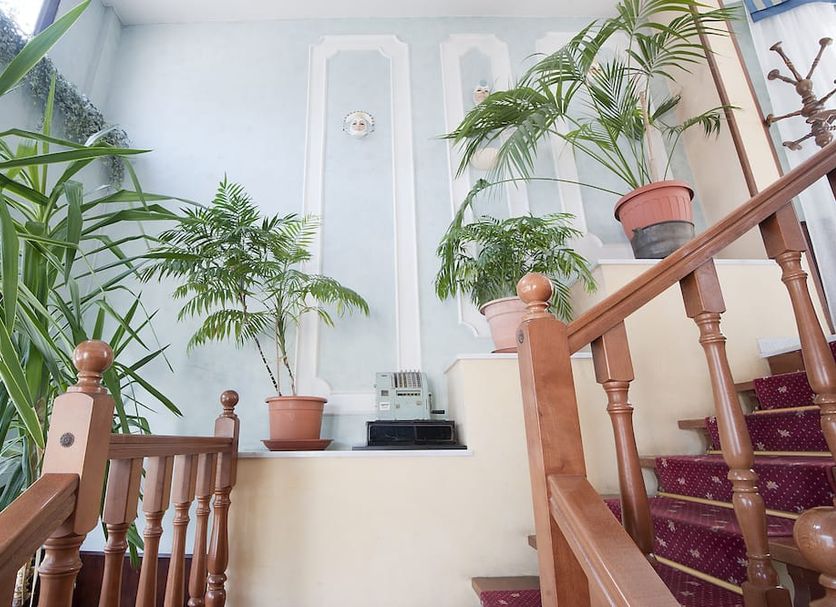Stairs Photo