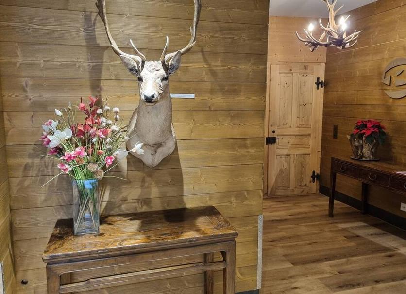 Room amenity Photo