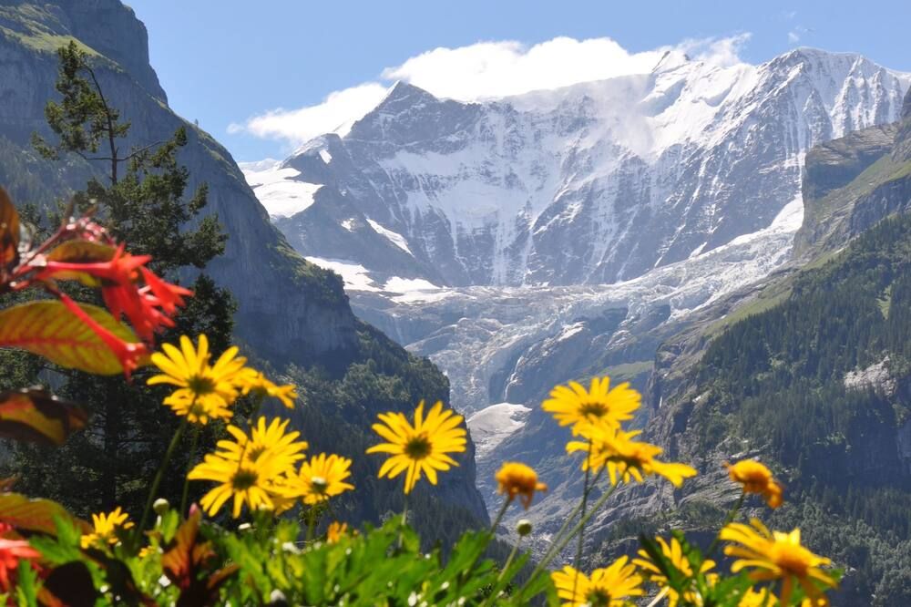 Outdoor view