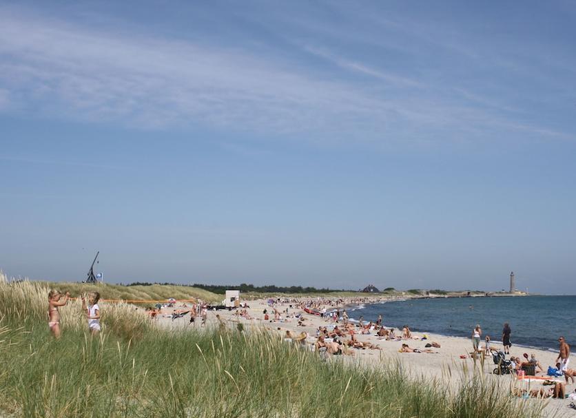 Beach Photo