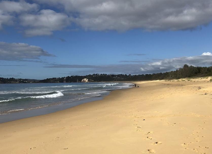 Beach Photo