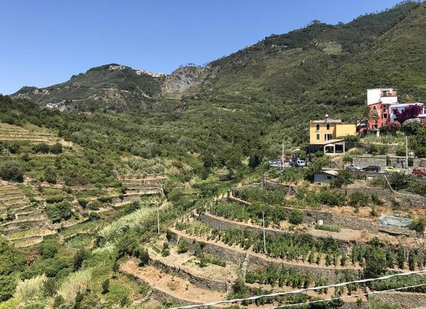 Outdoor view Photo