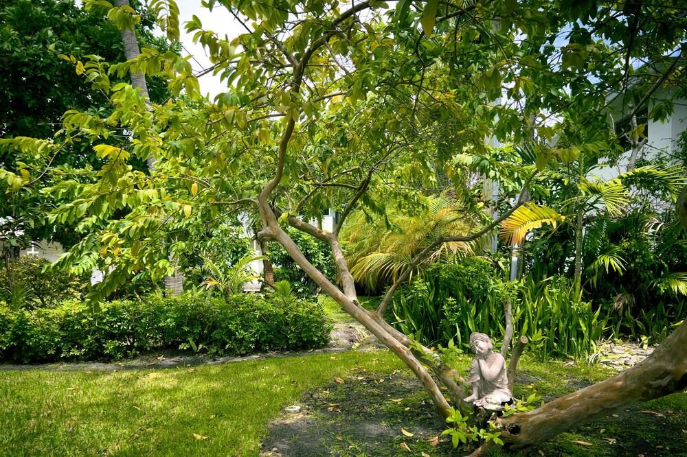 Outdoor view