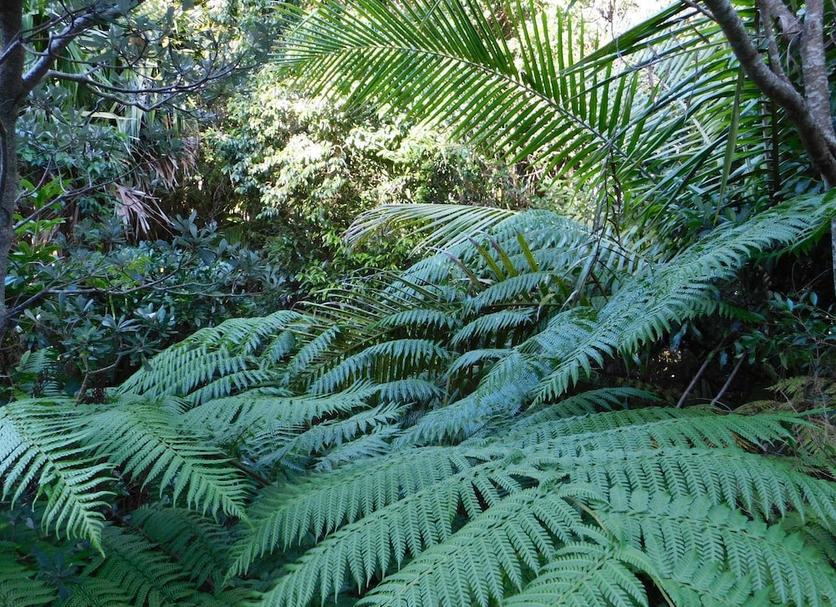Outdoor view Photo