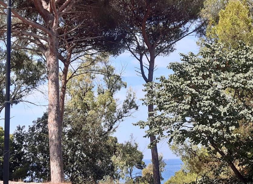 Outdoor view Photo