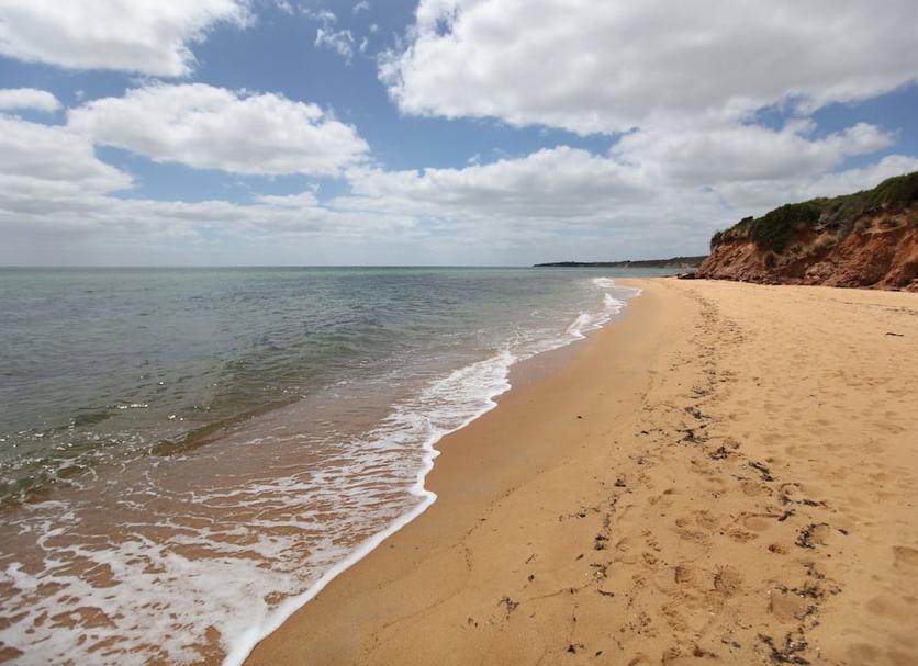 Beach Photo