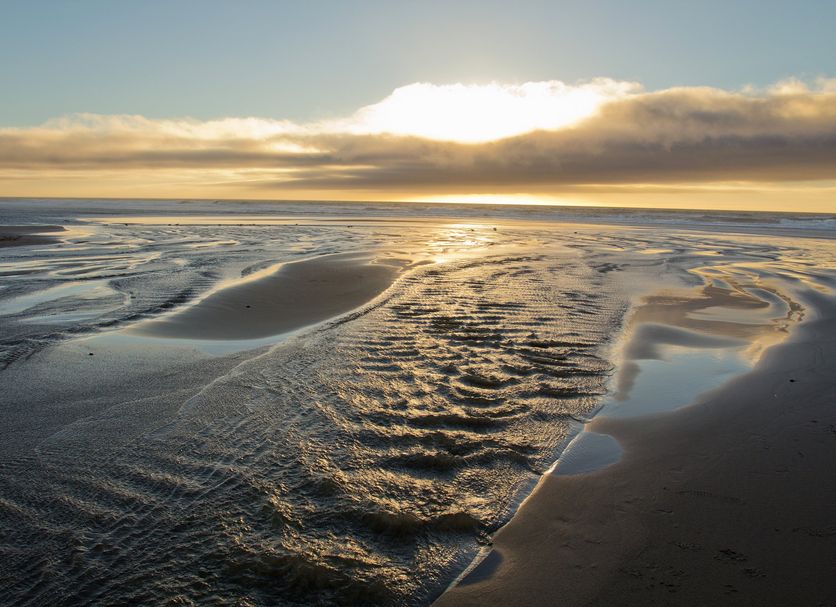 Beach Photo