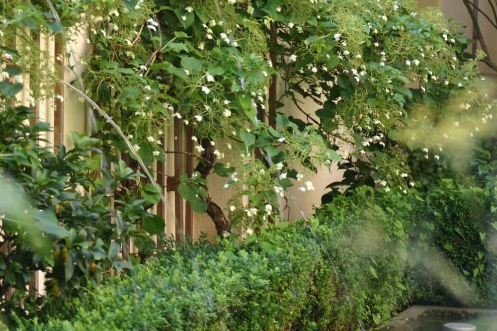 Outdoor view