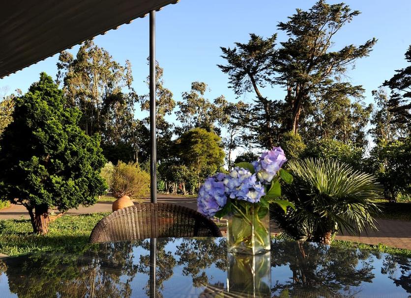 Outdoor view Photo