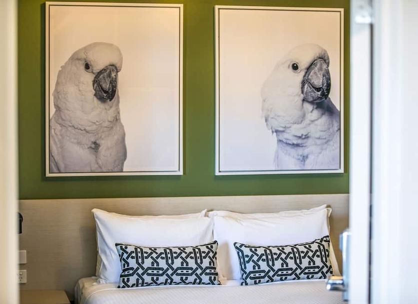 Room amenity Photo