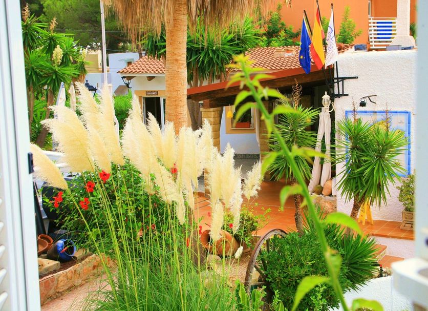 Outdoor view Photo