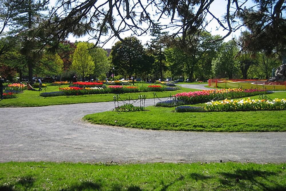 Outdoor view