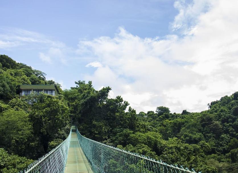 Outdoor view Photo