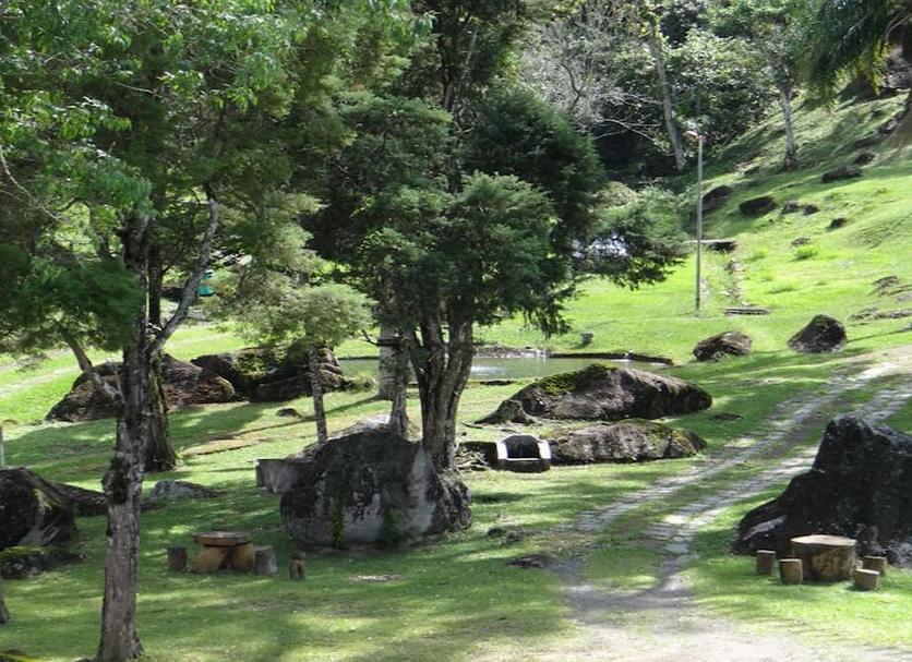 Other Photo