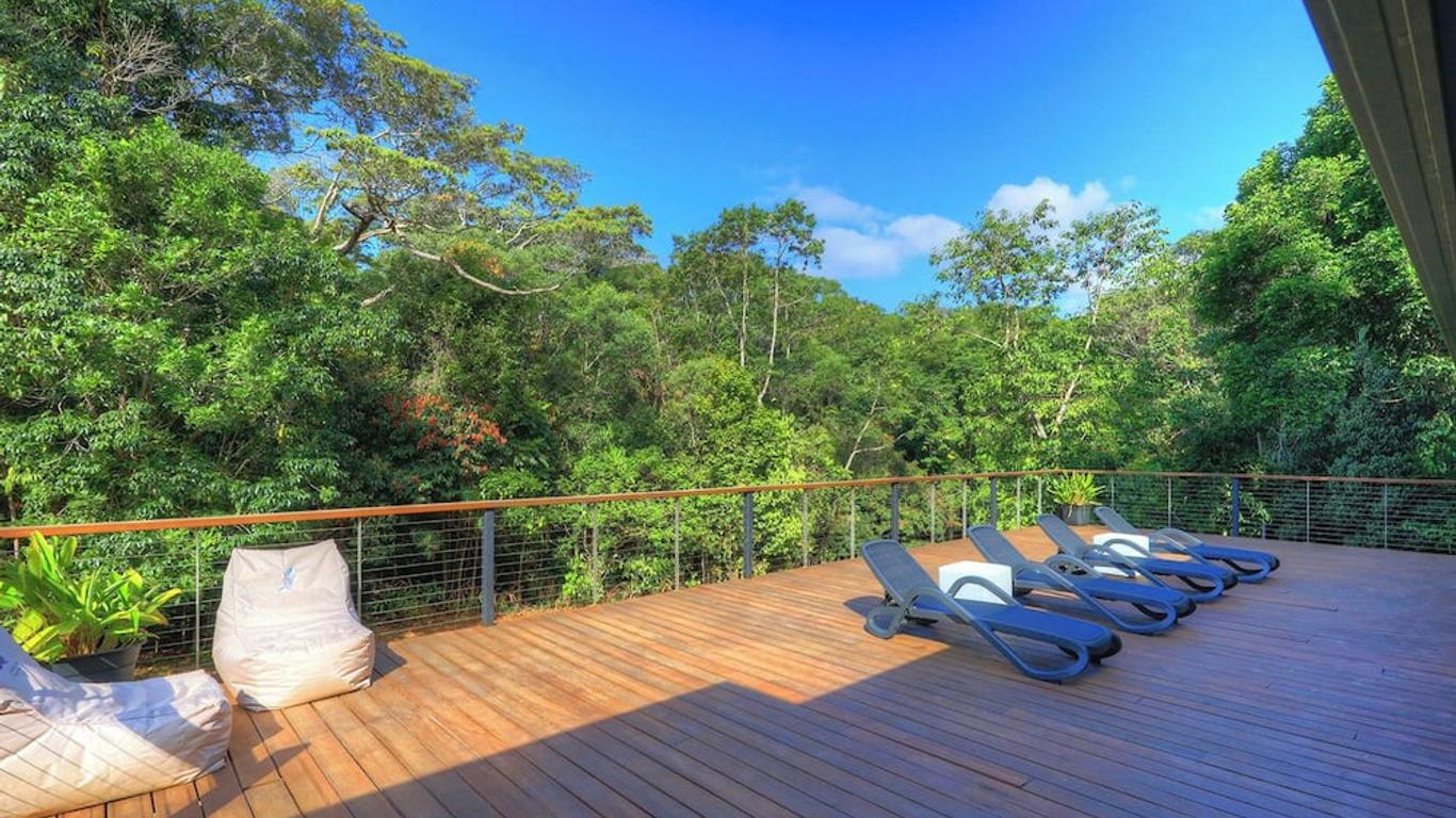 Chambers Wildlife Rainforest Lodges