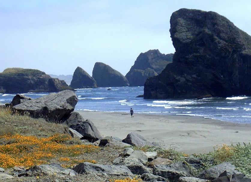 Beach Photo