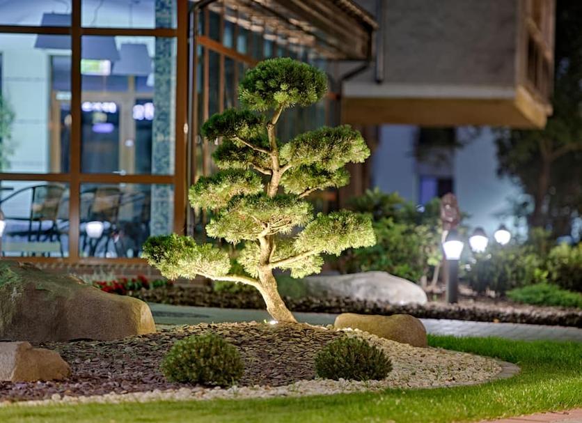 Outdoor view Photo