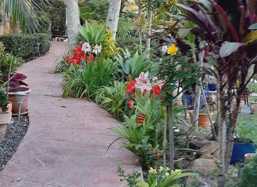 Outdoor view Photo