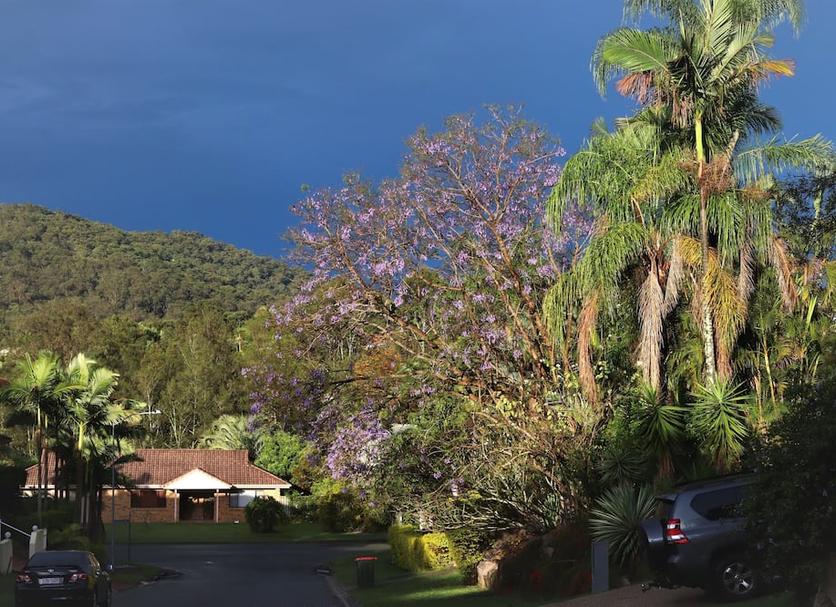 Outdoor view Photo