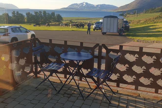 Hotel Sveinbjarnargerdi