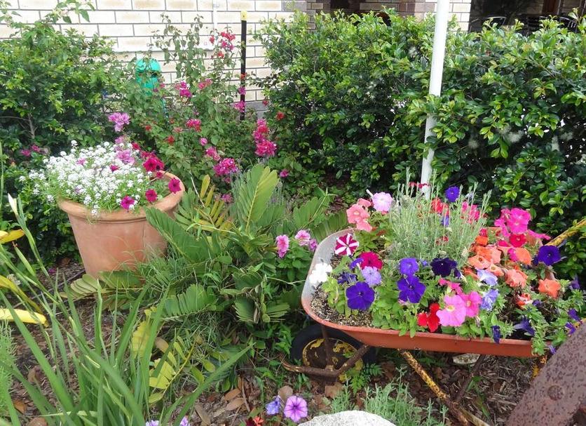 Outdoor view Photo