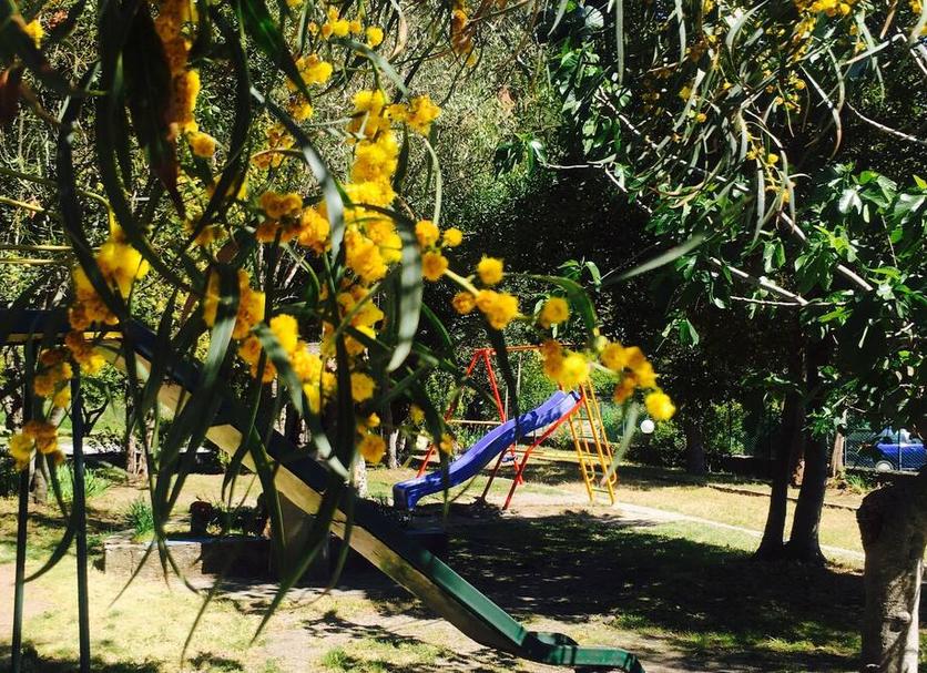 Other Photo