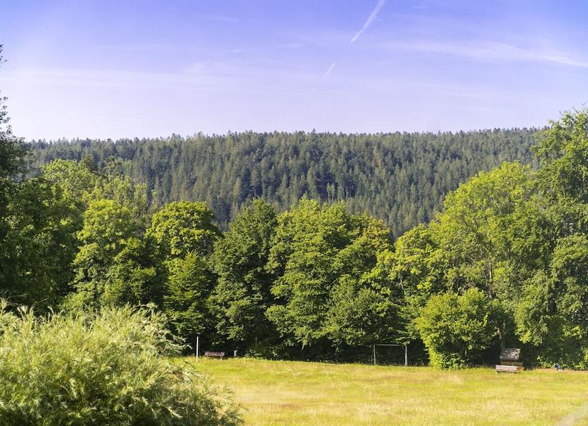 Outdoor view Photo