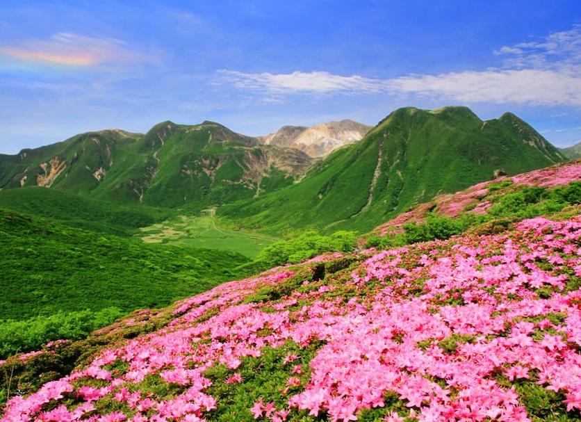 Outdoor view Photo