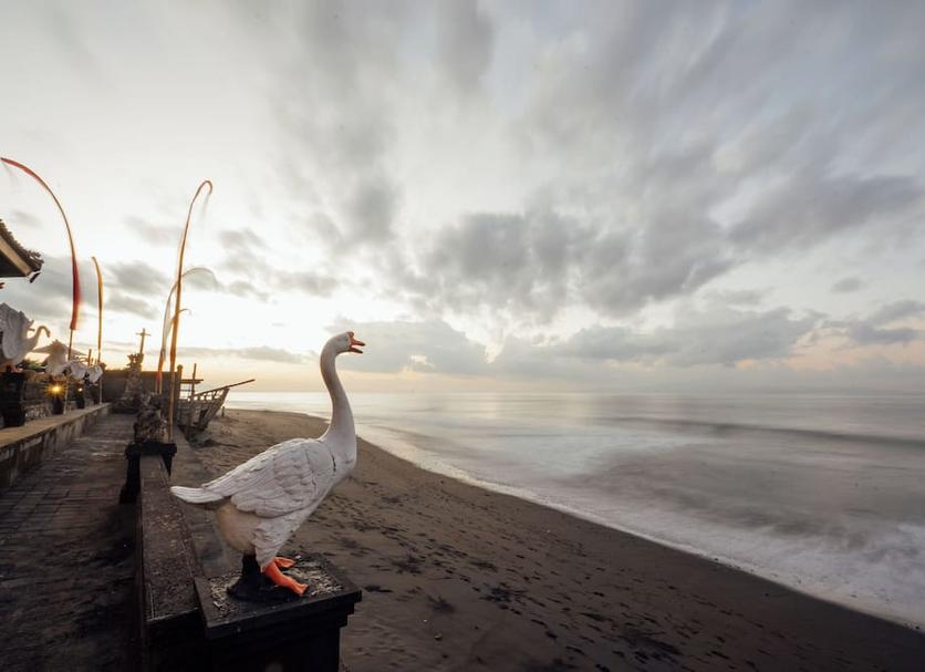 Beach Photo