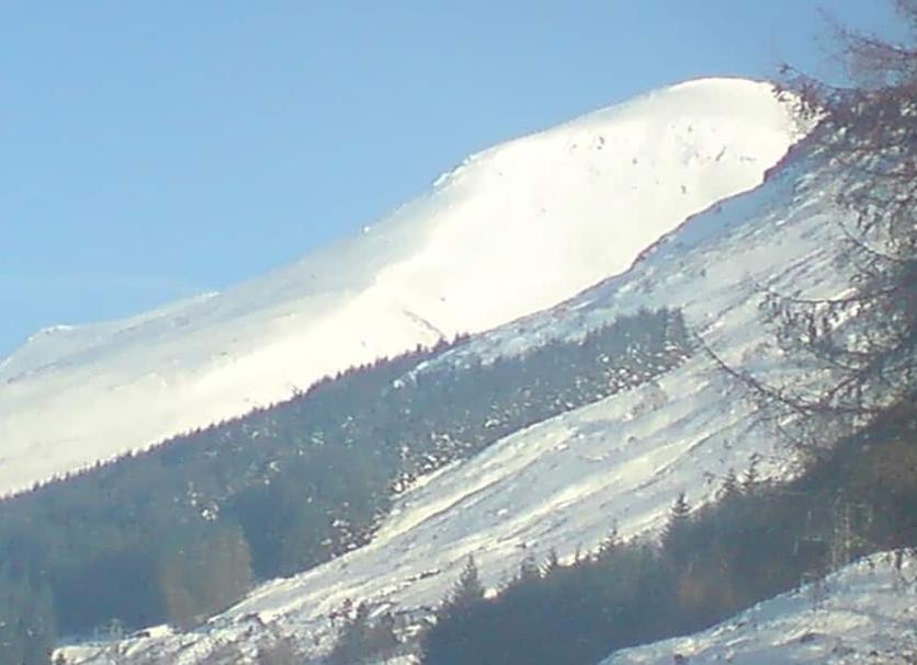 Other Photo