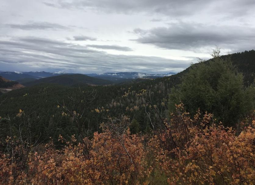 Outdoor view Photo