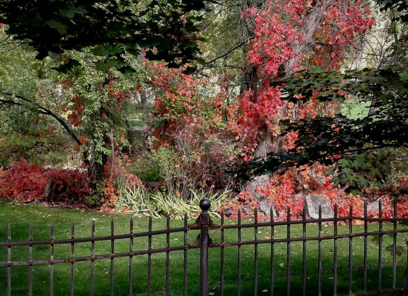 Outdoor view Photo