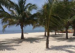 St. Thomas Royal Palm - Watamu - Beach