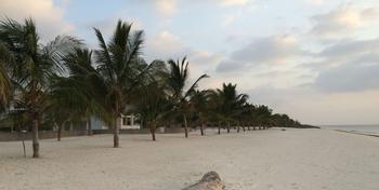 St. Thomas Royal Palm - Watamu - Beach