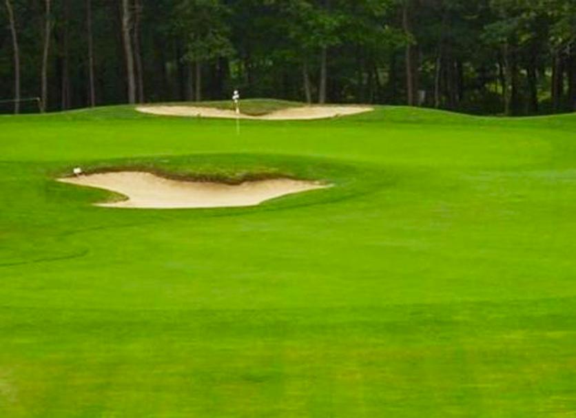 Golf course Photo